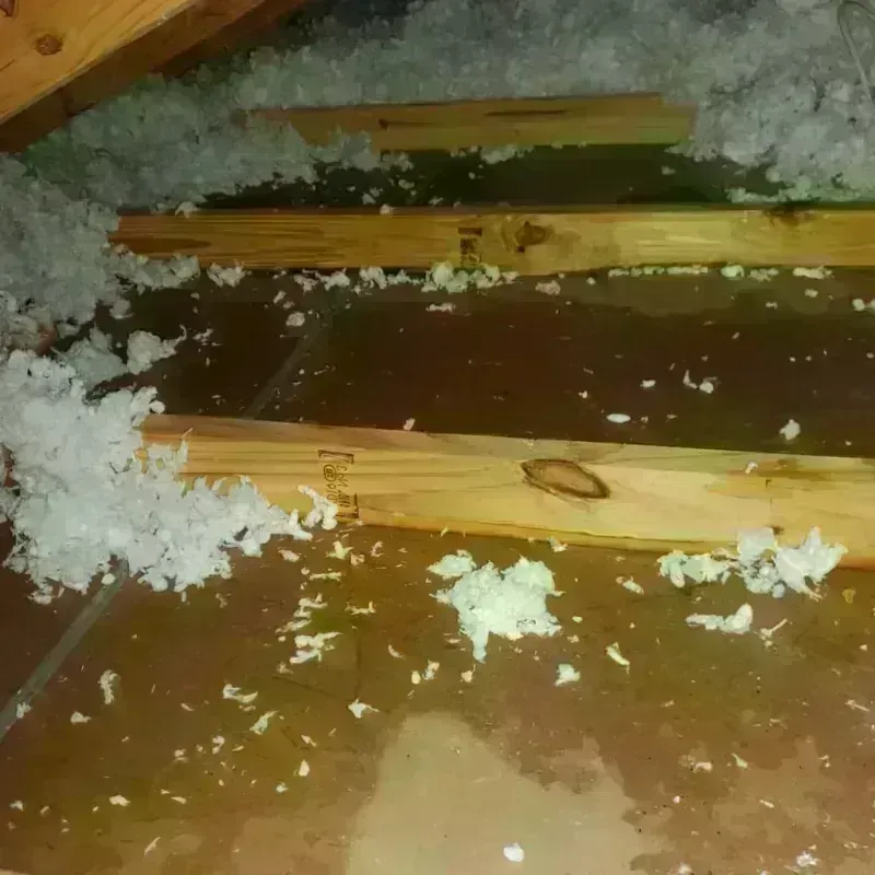 Attic Water Damage in Bloomingdale, IL