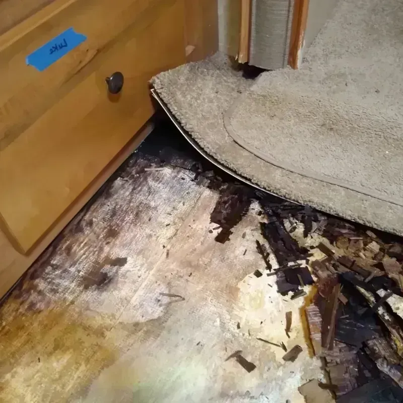 Wood Floor Water Damage in Bloomingdale, IL